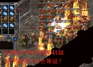 如何在传奇私服单机版中快速提升角色等级? 如何在传奇私服单机版中快速提升角色等级?