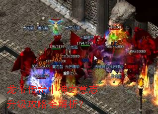 龙帝传奇中神之意志升级攻略全解析? 龙帝传奇中神之意志升级攻略全解析?
