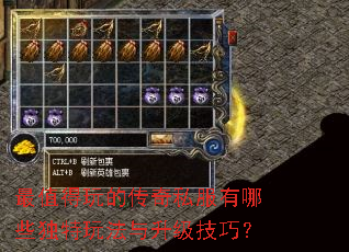 最值得玩的传奇私服有哪些独特玩法与升级技巧? 最值得玩的传奇私服有哪些独特玩法与升级技巧?