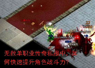 无赦单职业传奇私服中,如何快速提升角色战斗力? 无赦单职业传奇私服中,如何快速提升角色战斗力?