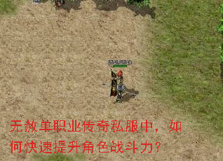 无赦单职业传奇私服中,如何快速提升角色战斗力? 无赦单职业传奇私服中,如何快速提升角色战斗力?