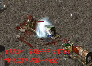 单职业打金服今日首区如何快速赚取第一桶金? 单职业打金服今日首区如何快速赚取第一桶金?
