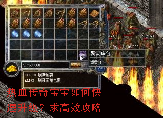 热血传奇宝宝如何快速升级?求高效攻略 热血传奇宝宝如何快速升级?求高效攻略