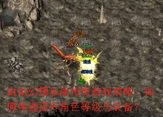 自由幻想私服传奇游戏攻略:如何快速提升角色等级与装备? 自由幻想私服传奇游戏攻略:如何快速提升角色等级与装备?