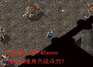 如何快速提升45woool传奇私服角色战斗力? 如何快速提升45woool传奇私服角色战斗力?