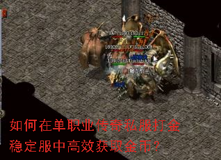 如何在单职业传奇私服打金稳定服中高效获取金币? 如何在单职业传奇私服打金稳定服中高效获取金币?