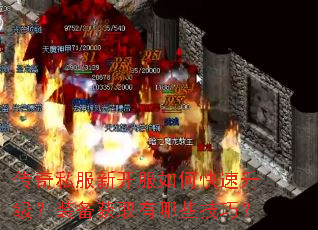 ����˽���¿�����ο���������װ����ȡ����Щ���ɣ�