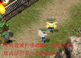 ���湥�Ǵ�ֹ��ԣ���θ�Ч��ռɳ�Ϳ������BOSS��