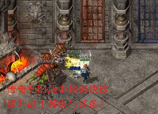 ���滳�ɷ�����ο�������սʿ�ȼ���װ����