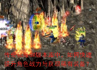 ����˽��GM�汾���У���ο���������ɫս�����ȡϡ��װ����