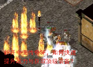 �¿��б䴫��SF����ο�������ս�����ȡ����װ����