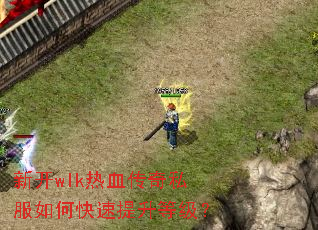 �¿�wlk��Ѫ����˽����ο��������ȼ���
