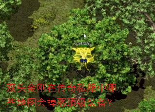 ˫ͷ����ڴ���˽������Щ��ͼ����䶥��װ����