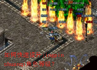 ��ο�������jingpinchuanqi��ɫ�ȼ���
