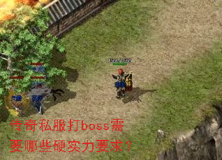 ����˽����boss��Ҫ��ЩӲʵ��Ҫ��