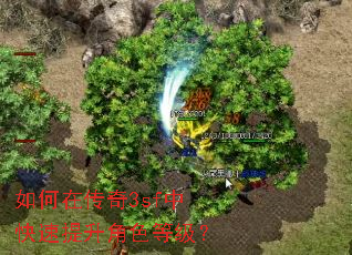 ����ڴ���3sf�п���������ɫ�ȼ���