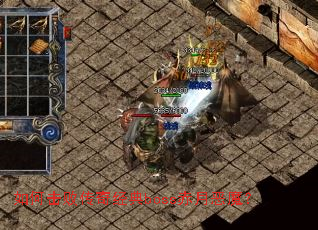 ��λ��ܴ��澭��boss���¶�ħ��