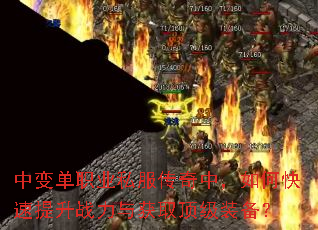 �б䵥ְҵ˽�������У���ο�������ս�����ȡ����װ����