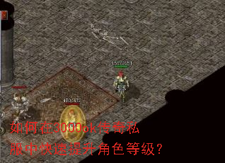 如何在3000ok传奇私服中快速提升角色等级? 如何在3000ok传奇私服中快速提升角色等级?