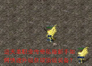 ���쵥ְҵ����˽��������ο���������ȡ����װ����