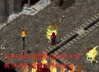 ���쵥ְҵ����˽��������ο���������ȡ����װ����