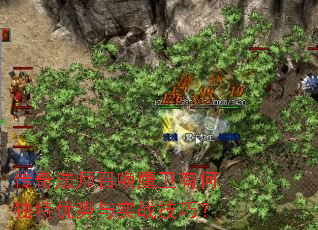 ���淨ʦ�ٻ�ӥ���кζ���������ʵս���ɣ�