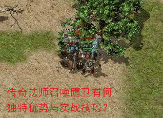 ���淨ʦ�ٻ�ӥ���кζ���������ʵս���ɣ�