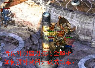 ���������浶����ȫ����������������������ɹ��ʣ�