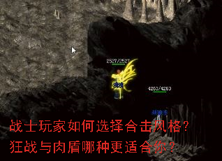 սʿ������ѡ��ϻ���񣿿�ս��������ָ��ʺ��㣿