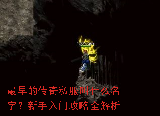 ����Ĵ���˽����ʲô���֣��������Ź���ȫ����