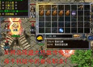 ���ѡ��ʢ����Ѫ����˽���ֻ����е����ְҵ��