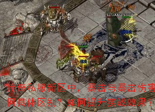 ����˽�������У������뱩���˺��кξ��������������ʵսЧ����