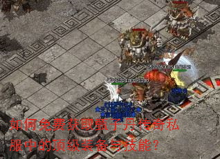 �����ѻ�ȡ���ӵ�����˽���еĶ���װ���뼼�ܣ�
