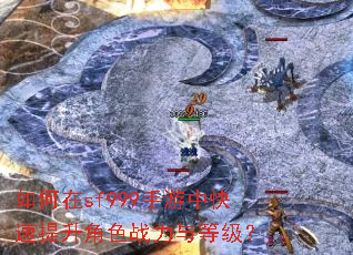 �����sf999�����п���������ɫս����ȼ���