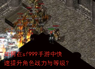�����sf999�����п���������ɫս����ȼ���
