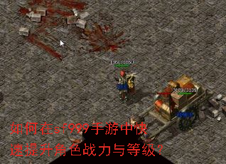 �����sf999�����п���������ɫս����ȼ���