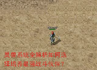 灵兽系统全解析如何选择培养最强战斗伙伴? 灵兽系统全解析如何选择培养最强战斗伙伴?
