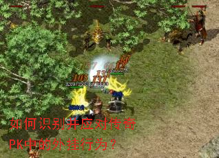 ���ʶ��Ӧ�Դ���PK�е������Ϊ��