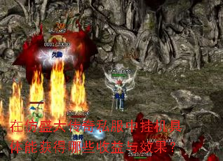 �ڷ�ʢ����˽���йһ������ܻ����Щ������Ч����