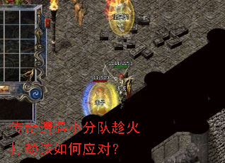 ��������С�ֶӳû��ٸ����Ӧ�ԣ�