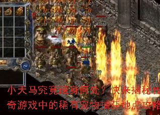 小天马究竟藏身何处?快来揭秘传奇游戏中的稀有宠物捕获地点攻略 小天马究竟藏身何处?快来揭秘传奇游戏中的稀有宠物捕获地点攻略