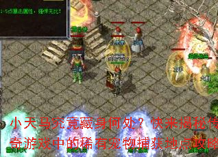 小天马究竟藏身何处?快来揭秘传奇游戏中的稀有宠物捕获地点攻略 小天马究竟藏身何处?快来揭秘传奇游戏中的稀有宠物捕获地点攻略