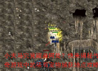 小天马究竟藏身何处?快来揭秘传奇游戏中的稀有宠物捕获地点攻略 小天马究竟藏身何处?快来揭秘传奇游戏中的稀有宠物捕获地点攻略