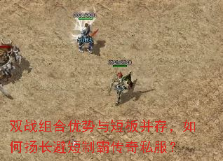 ˫ս���������̰岢�棬����ﳤ�ܶ��ưԴ���˽����