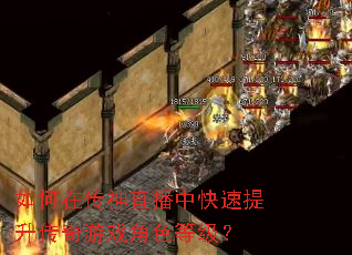 如何在传神直播中快速提升传奇游戏角色等级? 如何在传神直播中快速提升传奇游戏角色等级?