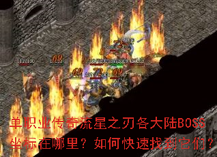 ��ְҵ��������֮�и���½BOSS�����������ο����ҵ����ǣ�