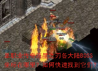 ��ְҵ��������֮�и���½BOSS�����������ο����ҵ����ǣ�