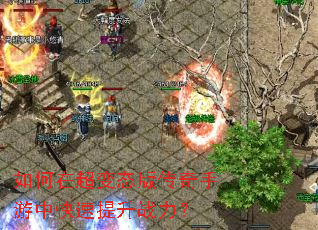 ����ڳ���̬�洫�������п�������ս����