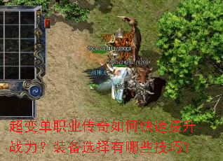 ���䵥ְҵ������ο�������ս����װ��ѡ������Щ���ɣ�