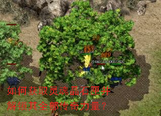 ��λ�ȡ��꾧ʯϻ��������ȫ������������